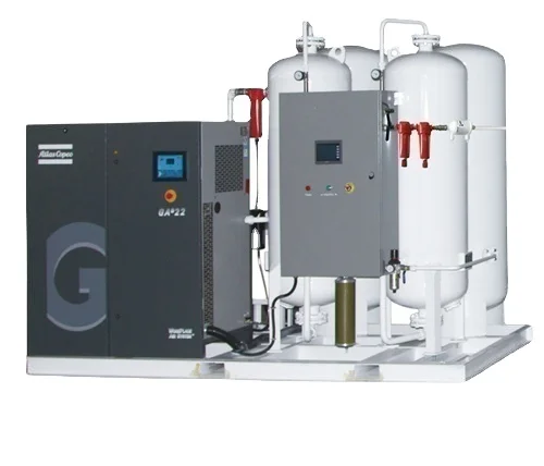 50/60HZ 380V/400V/420V/440V/460V turnkey containerized 20Nm3/h 98%99%99.5% oxygen psa integrated oxygen generator price