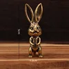 Mr. Rabbit