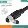 M12-B-5 female straight