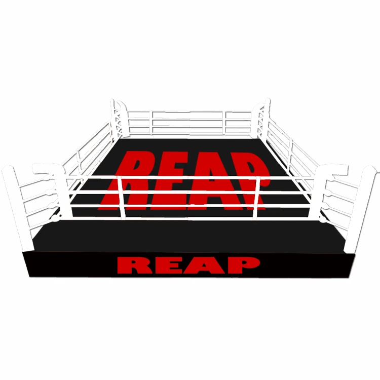 Professional Customized Size Logo Table Flooring Boxing Ring Price PVC Canvas Taekwondo Karate Wrestling Judo Boxing Ring