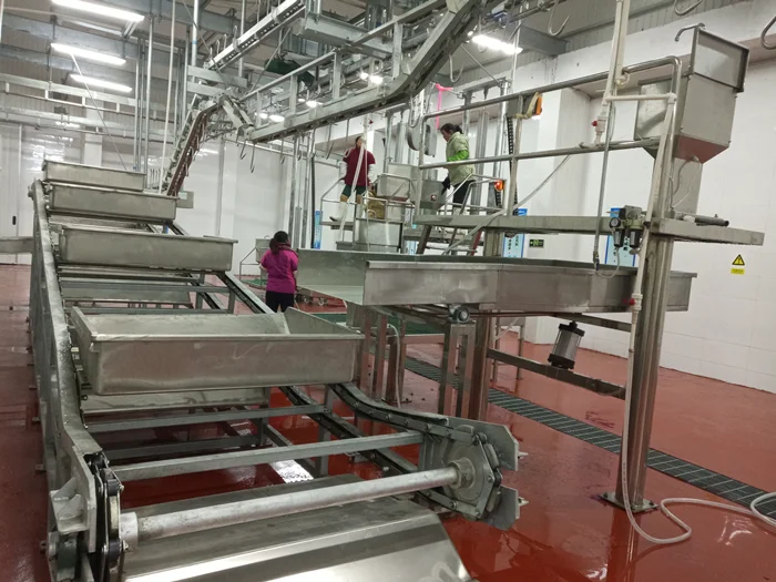 Production Line Cow Abattoir Slaughtering Processing Halal Slaughterhouse Equipment From China