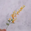 สีส้ม
