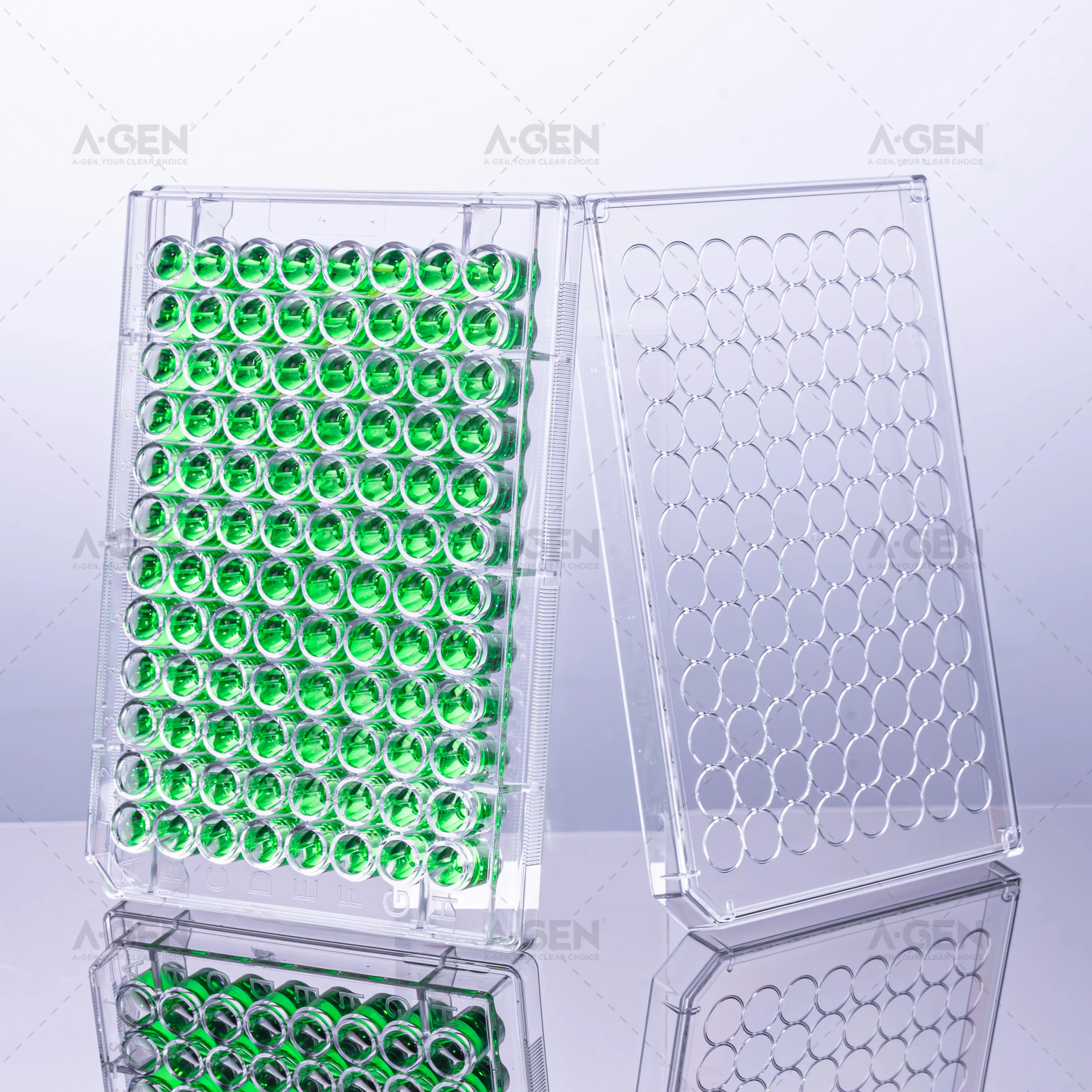 Élisaページ High Adsorption 96 Well Elisa Plate - Flat Bottom Microplate