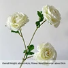 Camelia nº 2