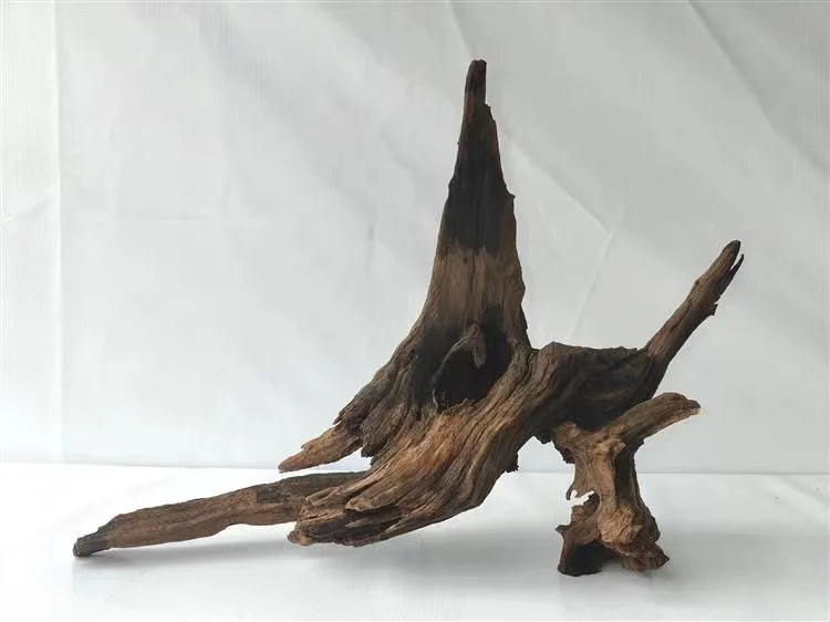 Aquarium Wood Driftwood Bonsai Aquatic Aquarium Driftwood Bonsai Buy