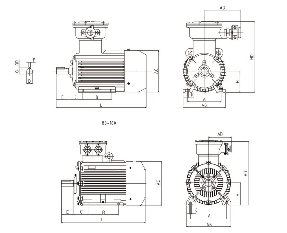 Induction Motor, JINRJIAN, 75HP, 80kW, 40HP - detail 8