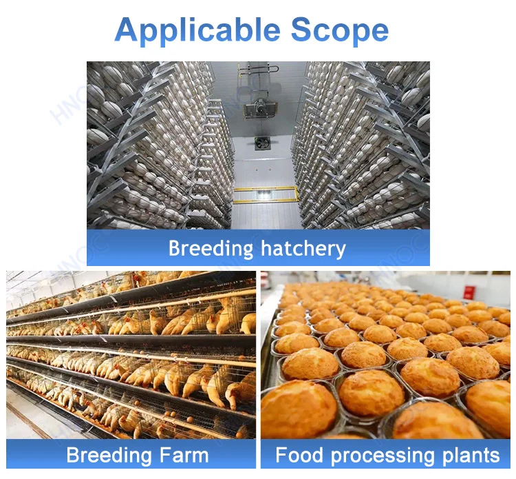 5 Row Lane Egg Sorter Scale And Grader Weigh Inspection 10000 Egg/hr