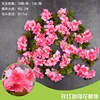 Rayas de flor de cerezo rojo rosado