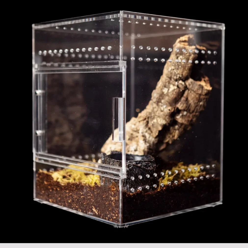 Customized Design Acrylic Reptile Display Case Clear Reptile Enclosure ...