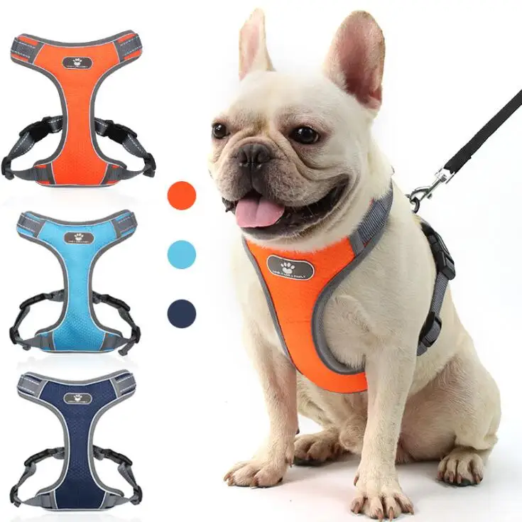 eco dog harness