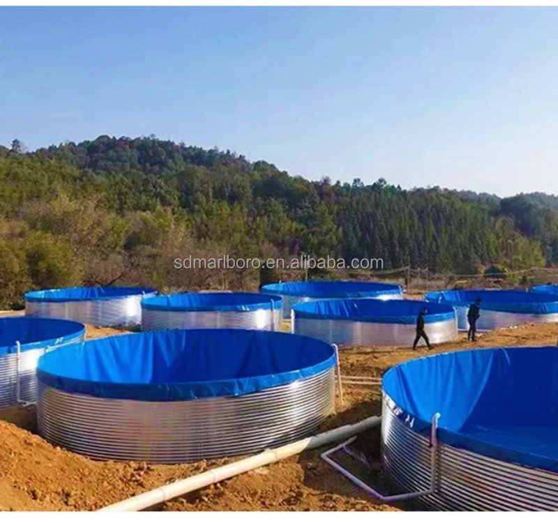 SDM High Density Recirculating Aquaculture System Fish Tanks Large Fish Farming Ponds PVC Fish Farm Tanks