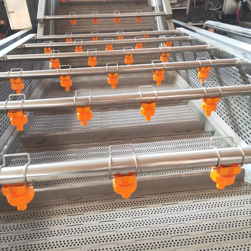 High Efficient Circulating Water Chestnut Portulaca Ormosia Washer Conveyor Tremella Fruit Vegetables Clean Washing Machine