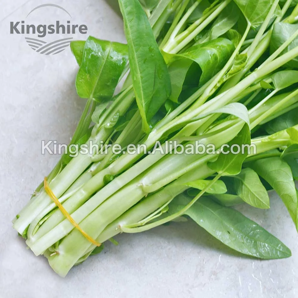 Green Spinach Seeds Vegetable Garden Water Kang Plant Leaf Green Home 200 Pcs Green Spinach Seeds Vegetable Garden Water Kang Plant Leaf Green Home 200 Pcs