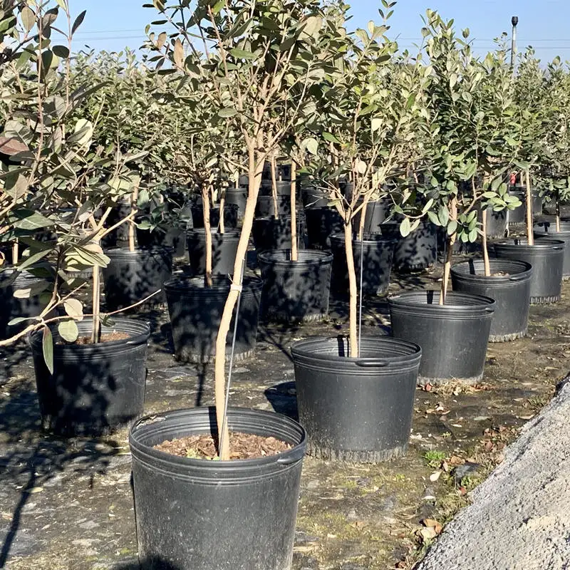 Пластиковый горшок для выращивания растений горшки 1 2 3 5 7 9