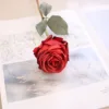สีแดงสด