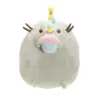 Gatto di compleanno
