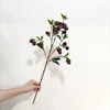 FA80008- burgundy
