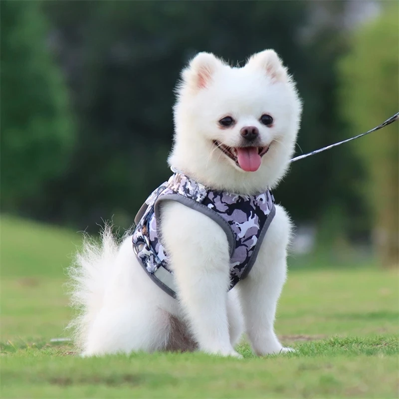 Wholesale Reflective Adjustable Mesh Padded Pet Dog Harness And Leash Set factory