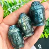 Cabezas de Buda