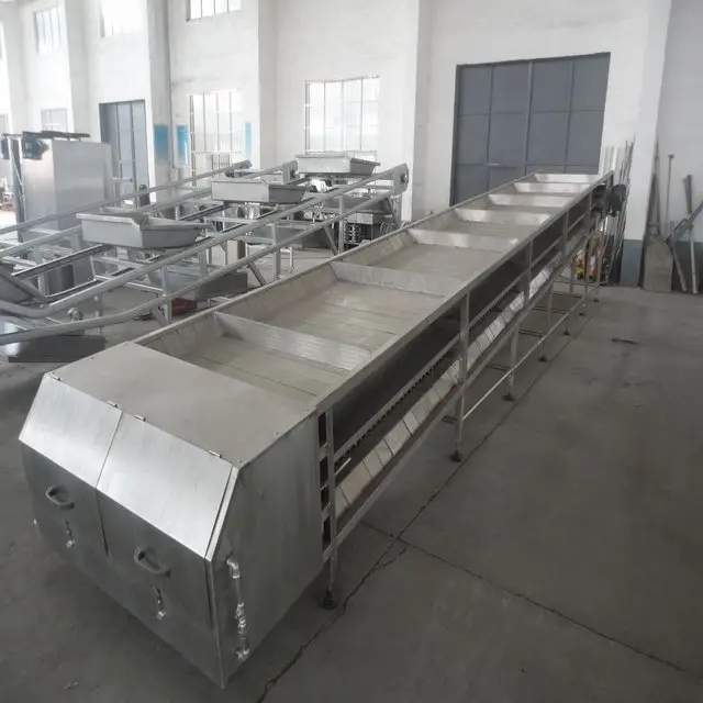 Halal slaughtering equipment, cattle viscera synchronous quarantine system, suitable for cattle slaughterhouses
