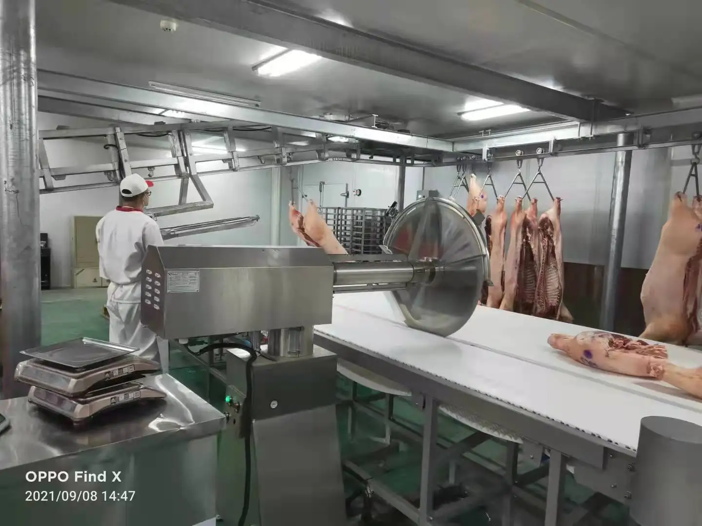 Meat slaughterhouse equipment PVC conveyor belts for cutting and packaging lines