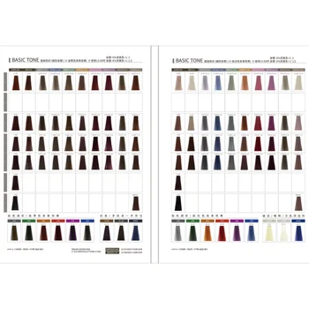 GUHUI Best Sale Factory Price High Quality and Inexpensive Hair Color Swatch  Chart book
