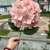 pale pink