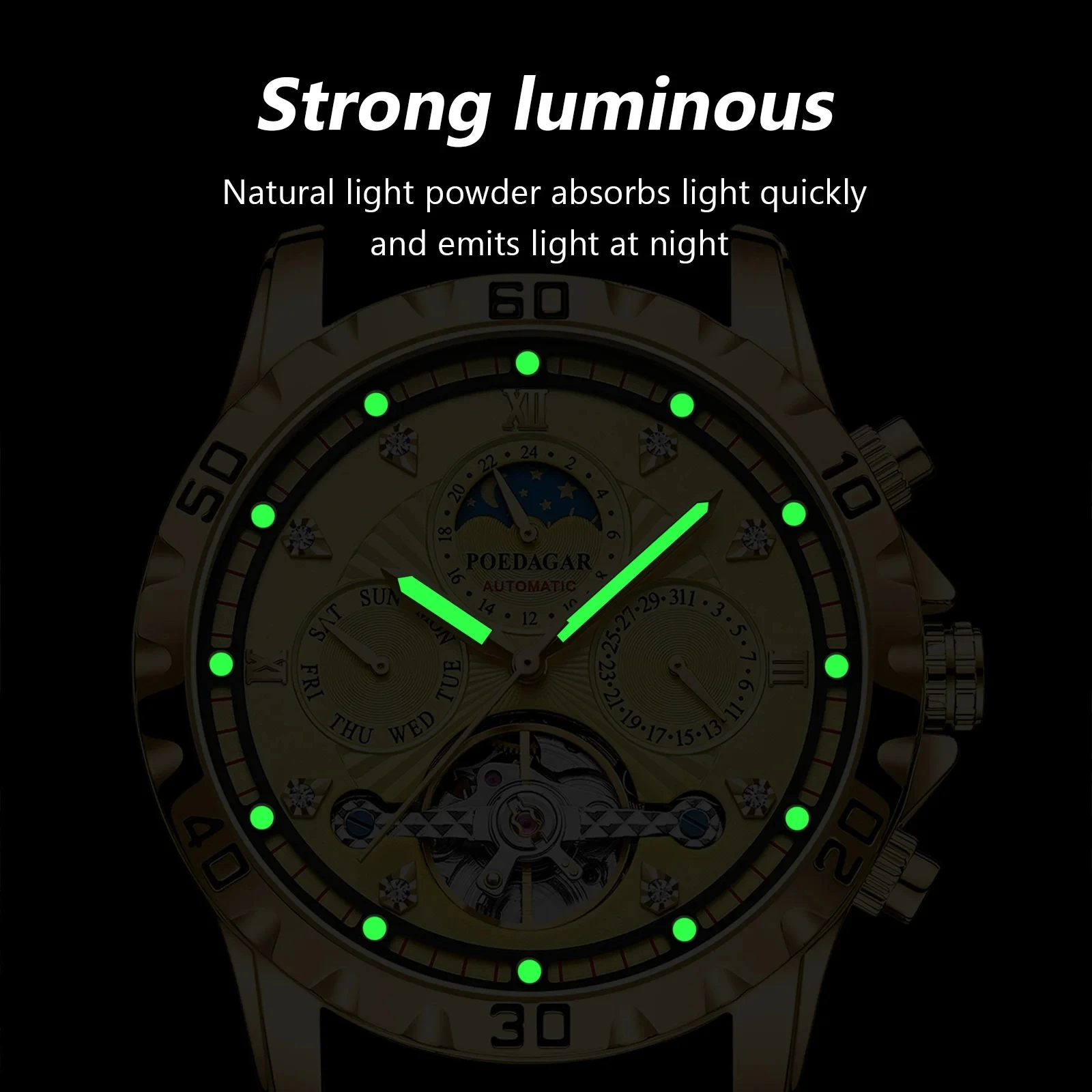 POEDAGAR Luxury Tourbillon Men's Watch