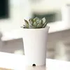 White omnipot