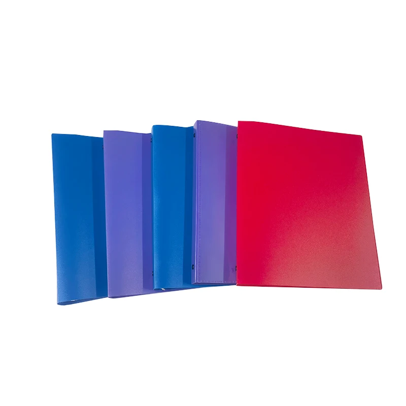 Factory Supply Custom Logo 1 Inch 3 Ring Binder File Folder PP Foam Plastic Office Filing Various Sizes Loose Leaf 3D Binder