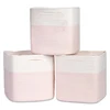 White - Pink