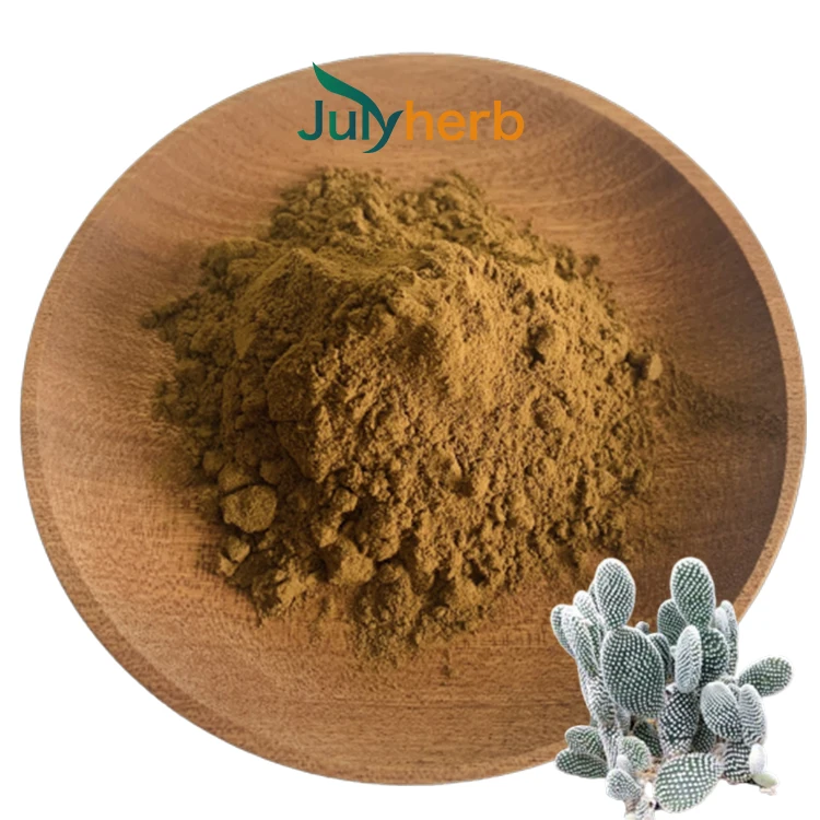 Hoodia gordonii cactus extract powder