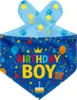 Compleanno ragazzo-blu