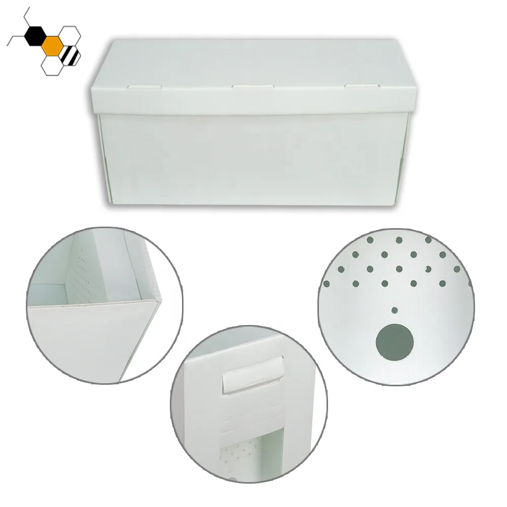 Queen Rearing PP Cardboard Nuc Box Nucleus 5 Frame Plastic Nuc Bee Boxes