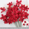 Orquídea Vanda roja de 3 cabezas