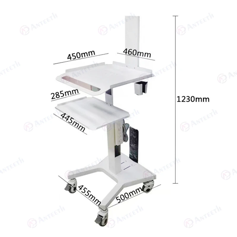 Dental Clinic Hospital Beauty Spa Trolley Cart Mobile Laptop Pallet ...