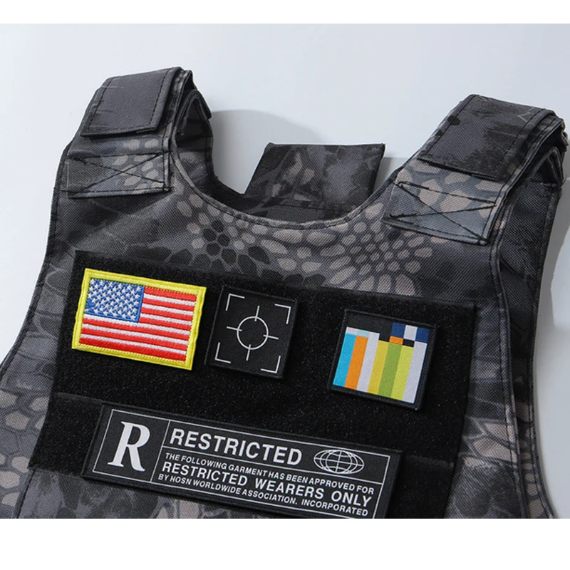 Source Hot Sale Custom ICONS Fashion Utility Tactical Combat Plate Tactical  Vest Men Outdoor Icon Tracksuits Clothing on m.