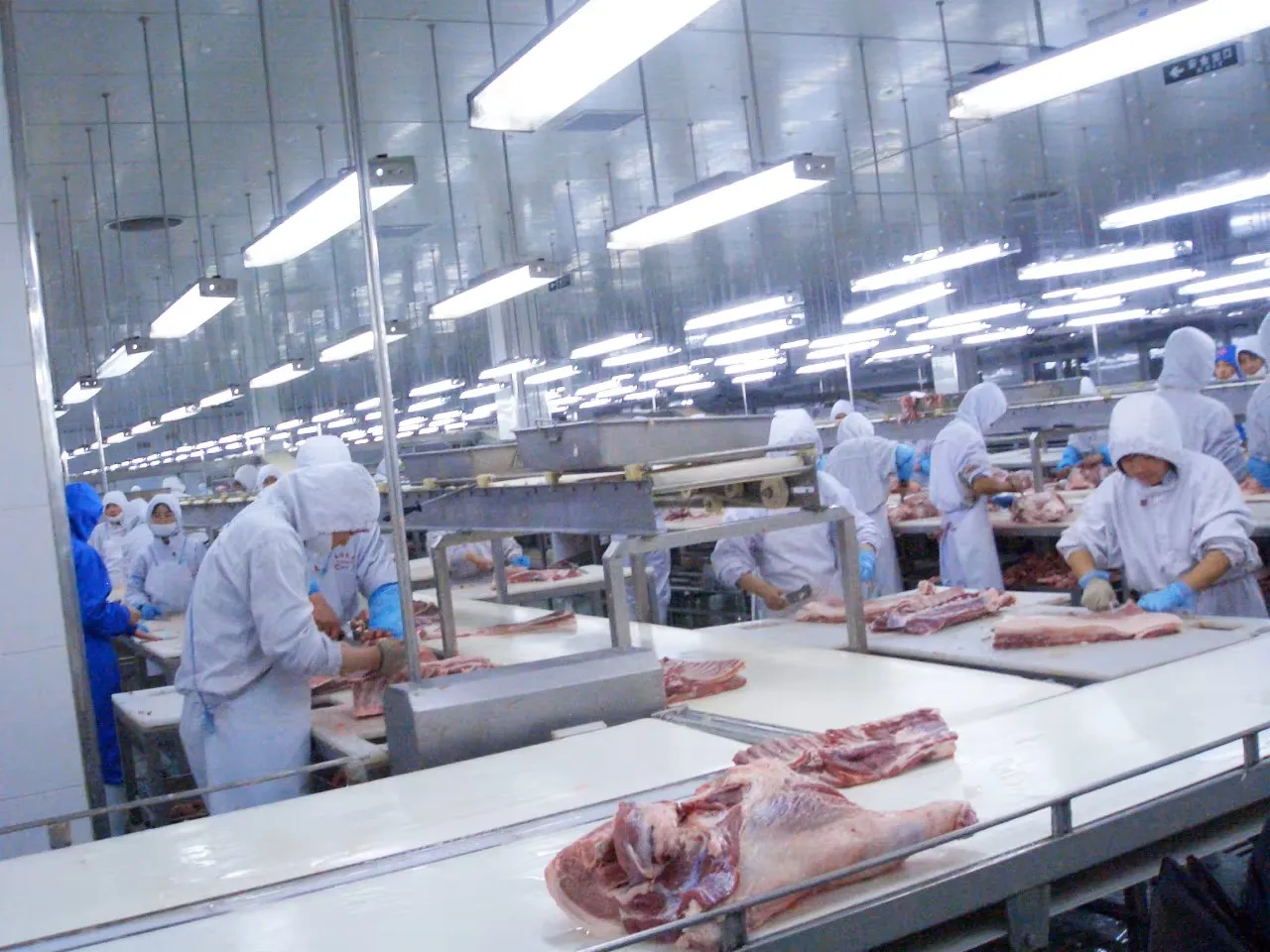 PVC conveyor belts for cutting and packaging lines in meat slaughterhouse equipment
