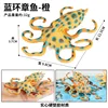 M-2991 Blue Ringed Octopus (Orange)