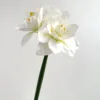 White green