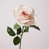 Single stem corolla rose - watercolor