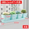 Style D, bleu clair, une seule rangée de 4 pots, plateau long, 39,5 cm.