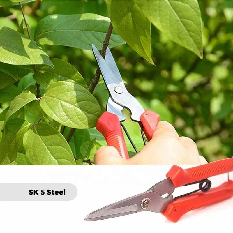 Buy Wholesale China Garden Pruners, Heavy Duty Gardening Scissors Pruning  Shears With Adjustable Thumb Lock, Handheld Ga & Garden Pruners at USD  27.95