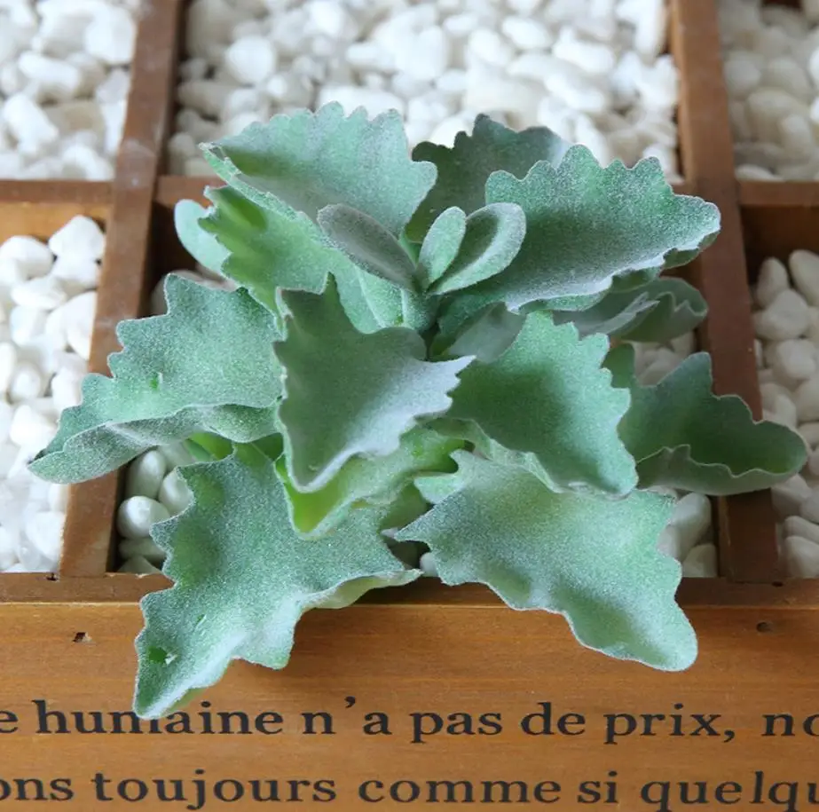 Several Different Type Rare Highly Simulation Small Flocked Artifical Succulent Plants in Pot