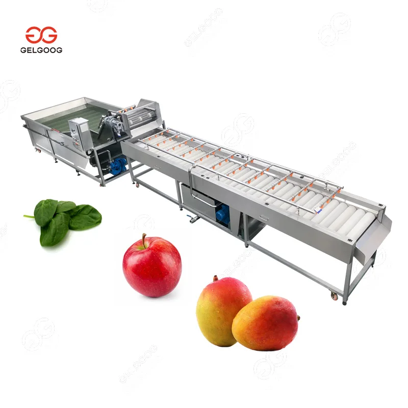 Factory Price Bubble Strawberry Mango Salad Cleaning Drying Sorting Line Equipment Dryer Spinach Apple Washing Machine