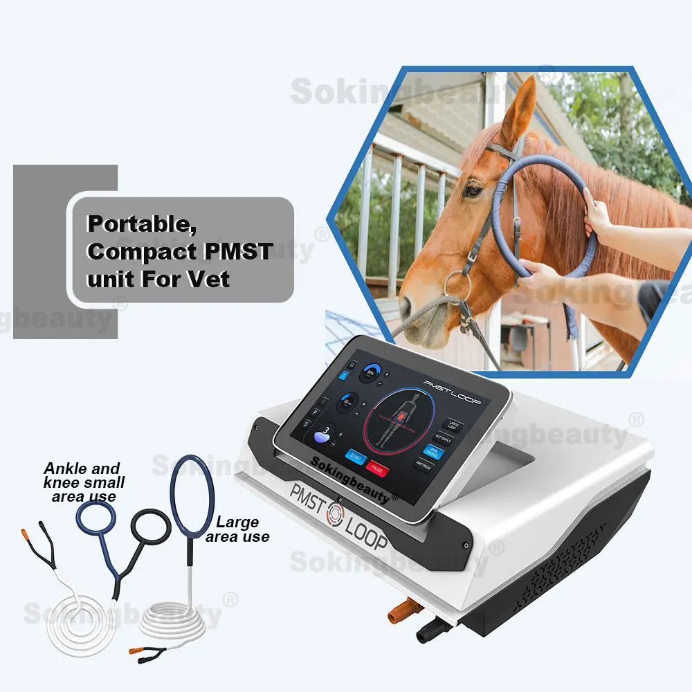 update version Physio Magneto Pemf Therapy Machine Physio Therapy Equipment PMST LOOP for Rehabilitation