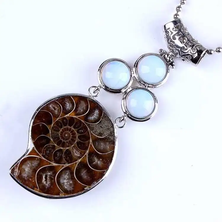 DIY Natural Ammonite Pendant Conch Shell Black Obsidian Pendant for Crystal Necklace Jewelry