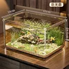 Grande acquario ecologico per pesci