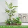Type o-palmier areca petite décoration paysagère avec piquet en bois