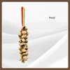 PanjiB